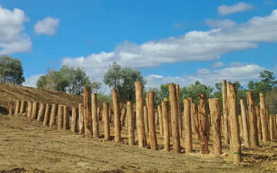 Piles deployed in Station Creek